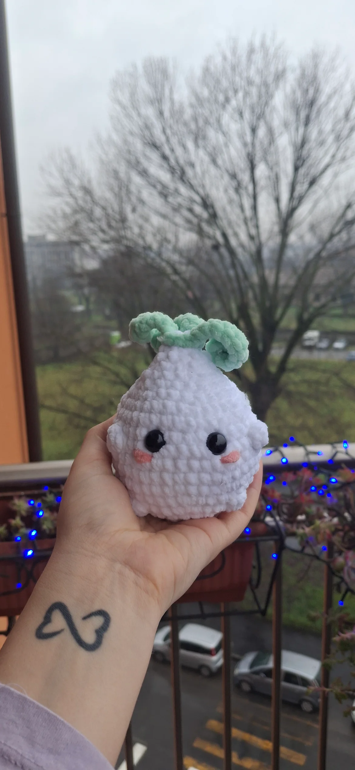 Chubby onion