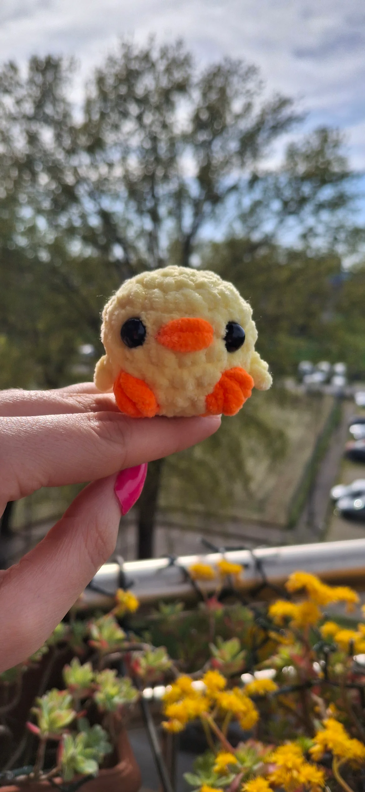 Little chick