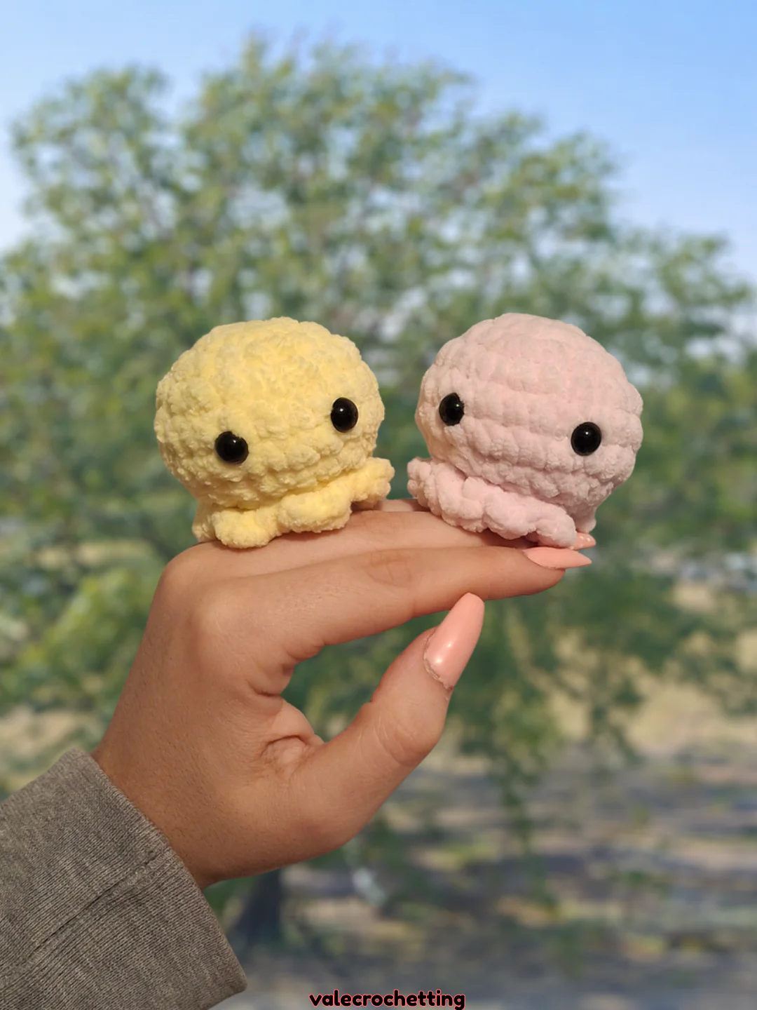Lil octopi